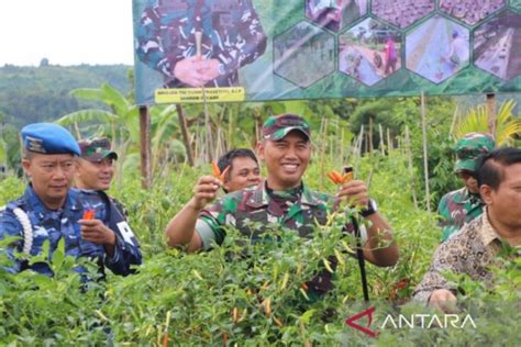 Kodim Samarinda Kampanyekan Tanam Cabai Demi Ketahanan Pangan