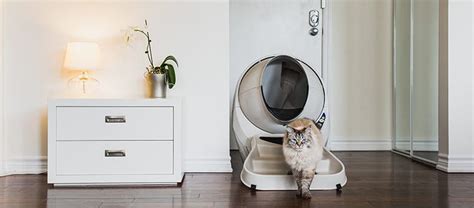 Helpful Accessories for Your Litter-Robot 3