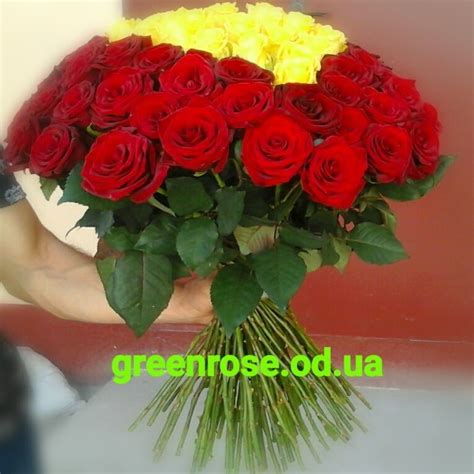 Роза красная и желтая 101 штука, лента атласная - Green Rose