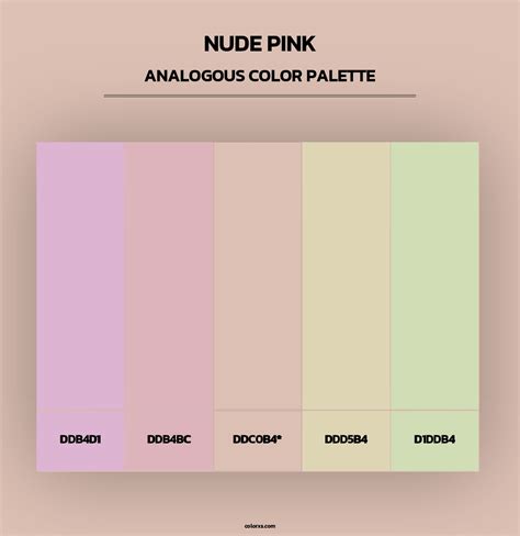 Nude Pink Color Palettes Colorxs