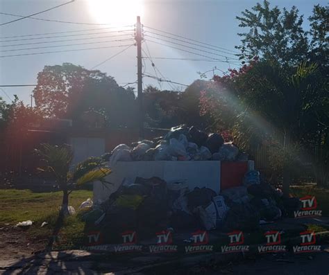 Se Agudiza Problema De La Basura En Cosamalopan Hermida Ya Con Un Pie