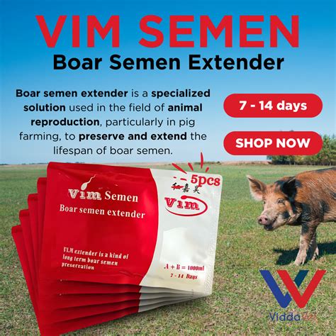 5pcs Viddavet Extender For Vim Male Dilution Powder 5pcs Pig Semen