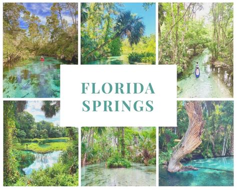 The 5 BEST Natural Springs Near Orlando Impulse4adventure Florida