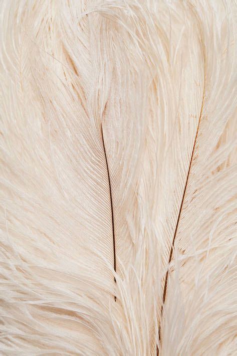 Descubre Ideas De FONDOS NUDE Fondos De Colores Iphone Fondos De Pantalla Fondos Para