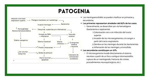 Meningitis Meningoencefalitis Aguada Y Cronica Ppt