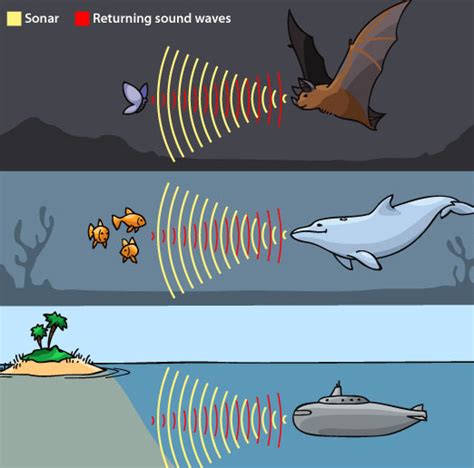 Uses of Ultrasonic Waves