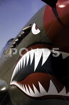 Flying Tiger nose art Stock Photos #AD ,#nose#Tiger#Flying#Photos ...