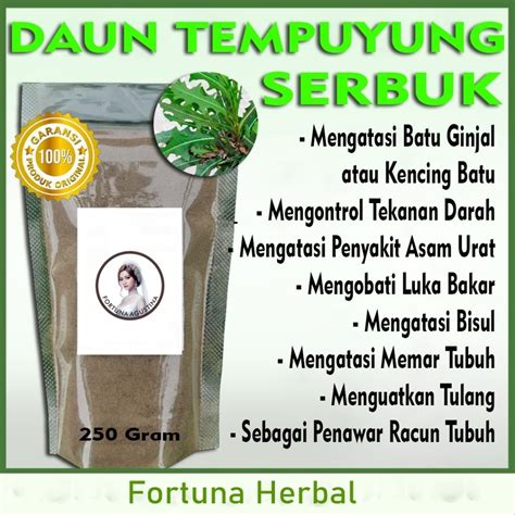 Jual Daun Tempuyung Serbuk Herbal Menghilangkan Batu Ginjal Shopee