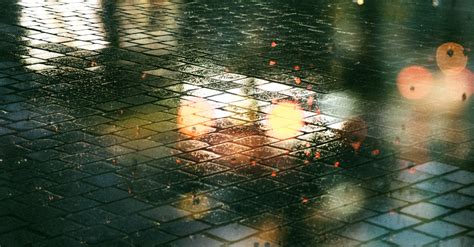 Lights Reflection on Rainy Street Pavement · Free Stock Photo