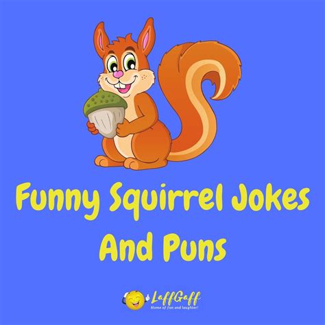 25+ Funny Squirrel Jokes & Puns - Squirrel Humor | LaffGaff