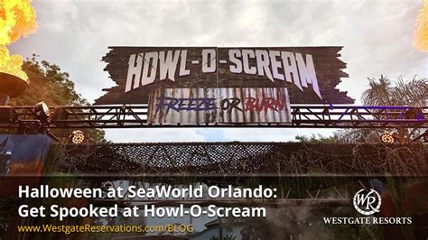 Halloween At Seaworld Orlando Get Spooked At Howl O Scream