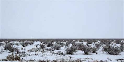 Snow in Mojave Desert