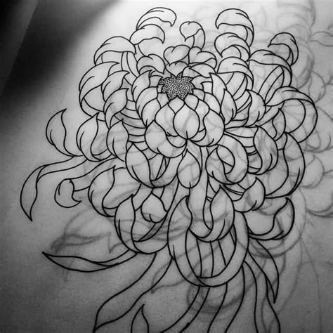 Chrysanthemum Design 43 Wonderful Chrysanthemum Tattoos Chrysanthemum