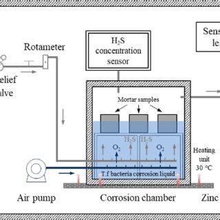 Schematic Diagram Of Mic Corrosion Test Mic Microbially Induced