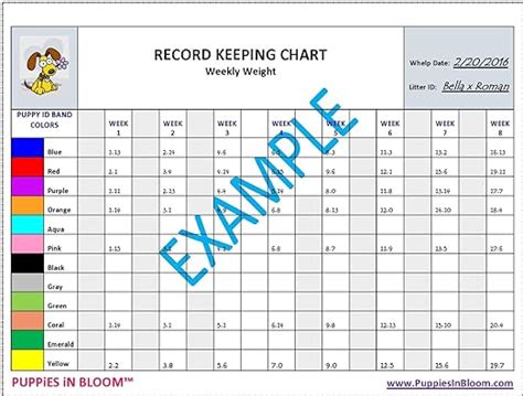 Puppy Weight Chart Template | Classles Democracy