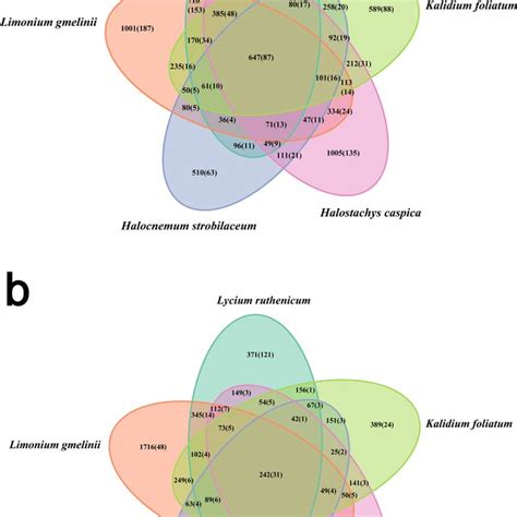 Venn Diagram Showing The Otus Shared Among Different Samples A