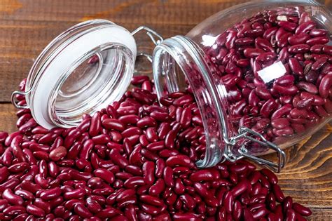 Healthy Red Kidney Beans 3 Step Cultivation Guide