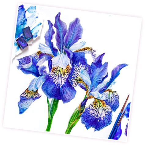 Реалистичная ботаника акварелью | SobakaRisovaka