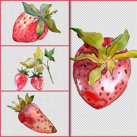 Strawberry Paradise Watercolor Png Masterbundles