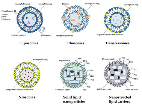 Different Types Of Nanoparticles