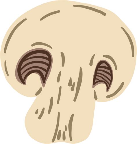 Doodle Freehand Sketch Drawing Of Mushroom Vegetable Png