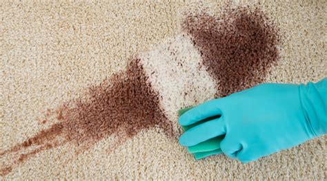 How To Remove Any Carpet Stain Carpet Now