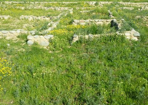 Talgar, Kasachstan: Tourismus in Talgar - Tripadvisor