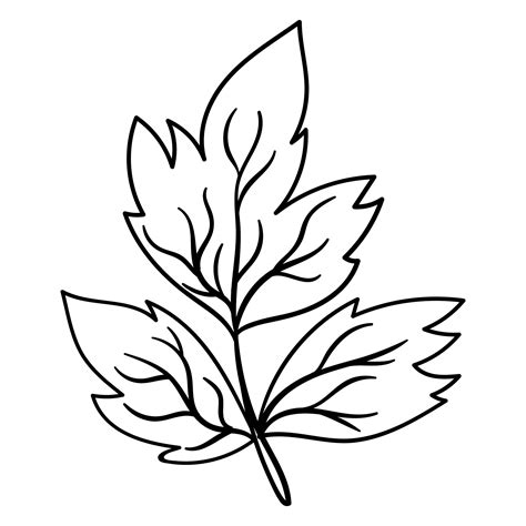 Oak Leaf Template 6 Free Pdf Printables Printablee