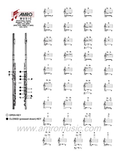 Flute Fingering Chart Amro Music Memphis Tn Artofit