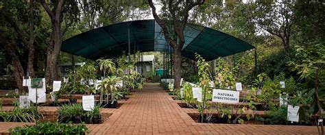 Nursery Margaret Roberts Herbal Centre