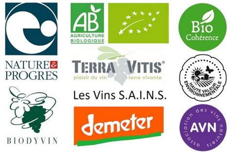 Les labels bio dans le vin Les clés pour s y retrouver Mystères et