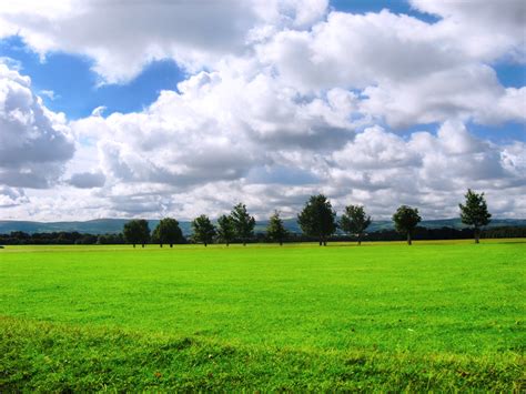 Free Images Landscape Tree Nature Horizon Cloud Plant Sky Lawn