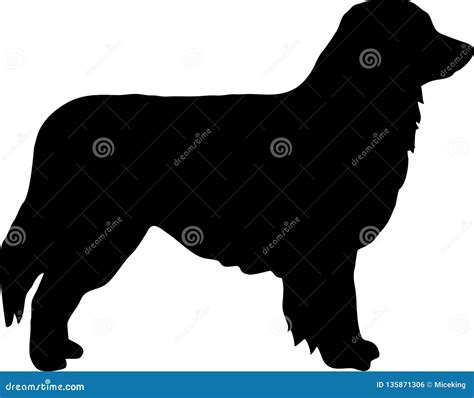 Australian Shepherd Silhouette Stock Vector - Illustration of canine ...