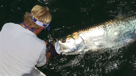 Boca Grande Fishing For Tarpon Fish On The Beach YouTube