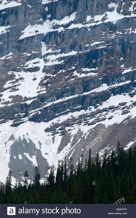 Cathedral Mountain From Sherbrooke Lake Yoho National Park British