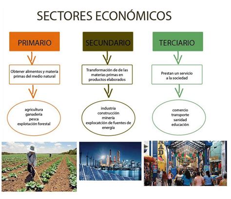 Tipos De Actividad Economica Que Clases De Empresas Podemos