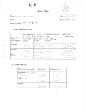 Lab 1 Density Of Solids And Liquids SCC 110 Studocu