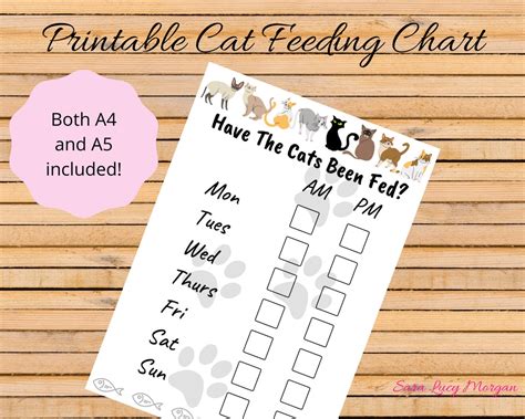 Printable Cat Feeding Chart Cat Food Schedule Pet Food Schedule Cat