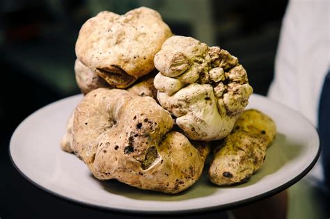 How To Eat White Truffle - Recipes.net