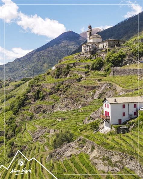 Click Climb Con Nino Negri Un Viaggio Alla Scoperta Della Valtellina