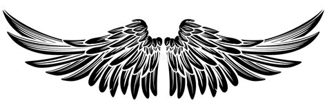 Pair Wings 向量例证 插画 包括有 设计 羽毛 图画 纹章学 鸟舍 例证 徽标 100939076