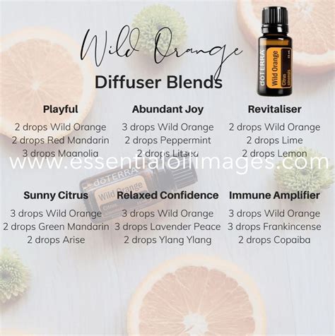 Dōterra Wild Orange Diffuser Blends Diffuser Blends Doterra Diffuser