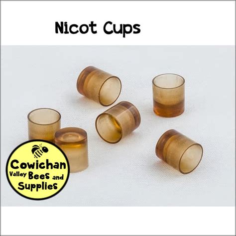 Nicot Cups - 50 Pack - Cowichan Bees and Supplies