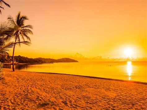 Premium Photo Beautiful Tropical Beach Sea Ocean Around Coconut Palm