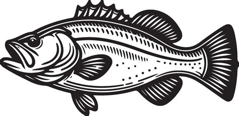 simple bass fish 46439965 Vector Art at Vecteezy