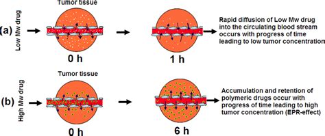 1 Concept Of Epr Effect For Tumor Targeted Drug Delivery Adapted From