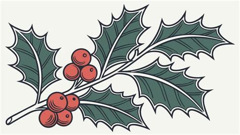 Holly And Ivy Vector Art, Icons, and Graphics for Free Download