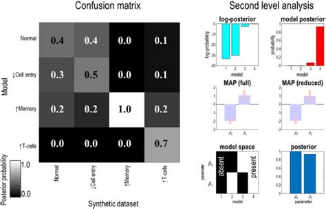 Immunological Phenotyping This Figure Illustrates Two Ways In Which Download Scientific