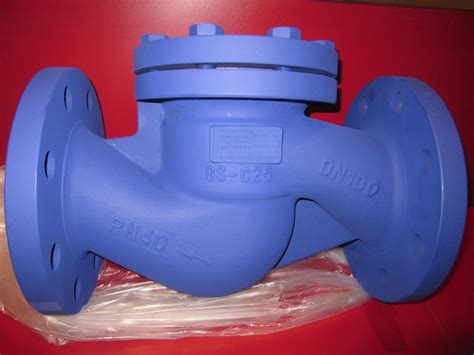 China Industrial Din En Piston Check Valve Cast Steel Lift Check Valve