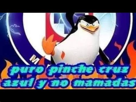 Puro Pinche Cruz Azul Y No Mamadas Youtube